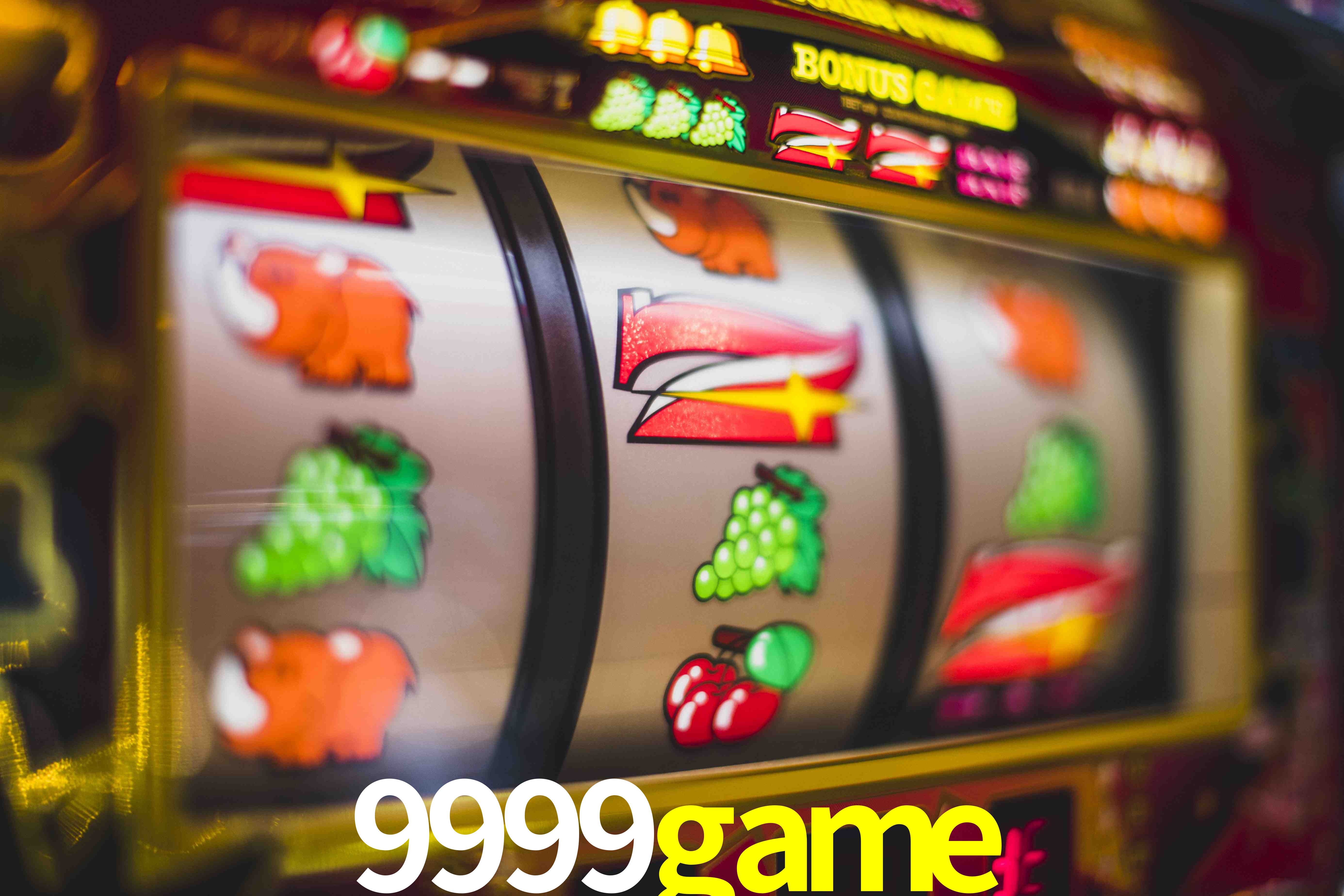 Sports Statistics 9999game
